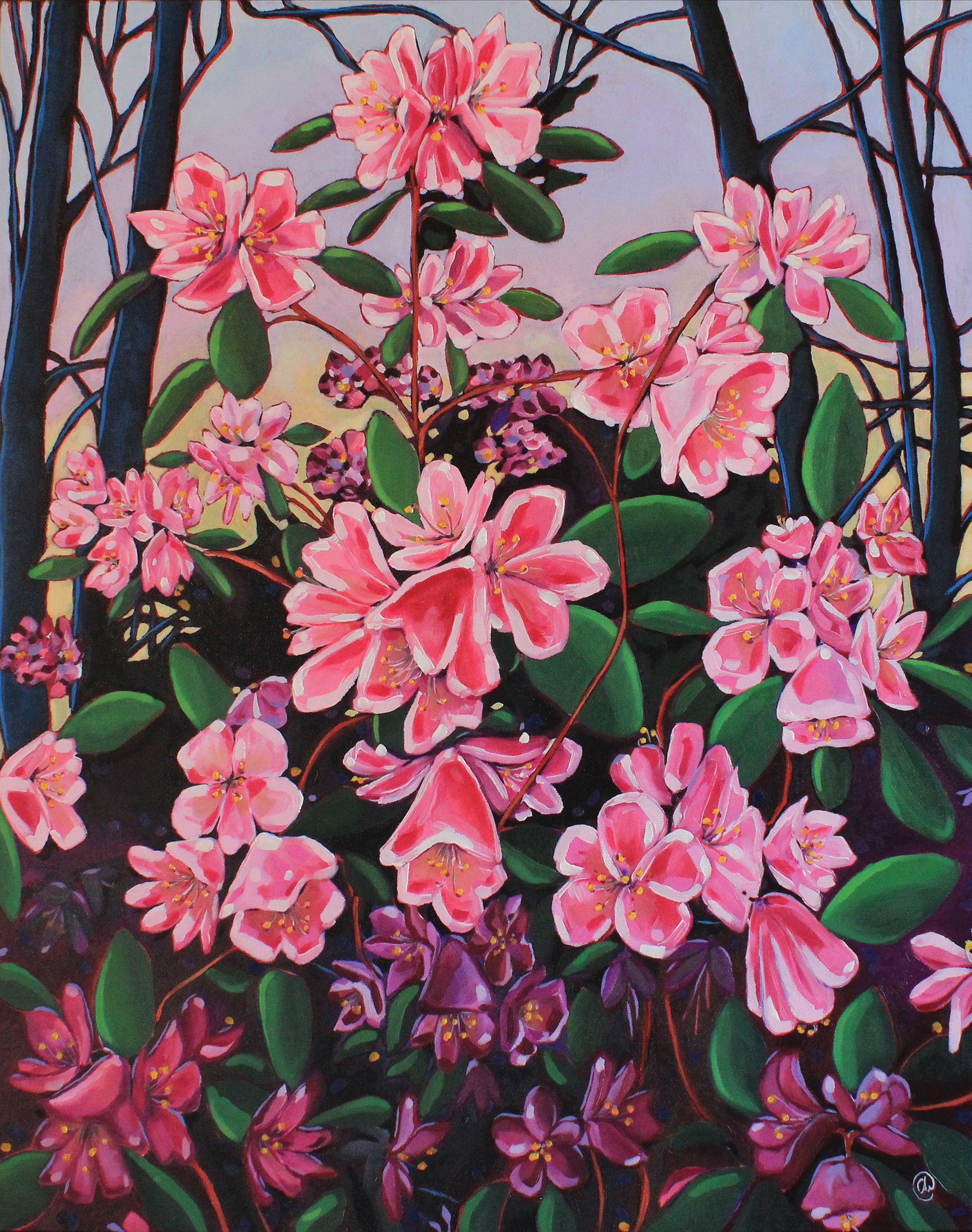 𝐁𝐥𝐮𝐬𝐡𝐢𝐧𝐠 𝐁𝐥𝐨𝐨𝐦𝐬 | 𝟏𝟔" 𝐛𝐲 𝟐𝟎"