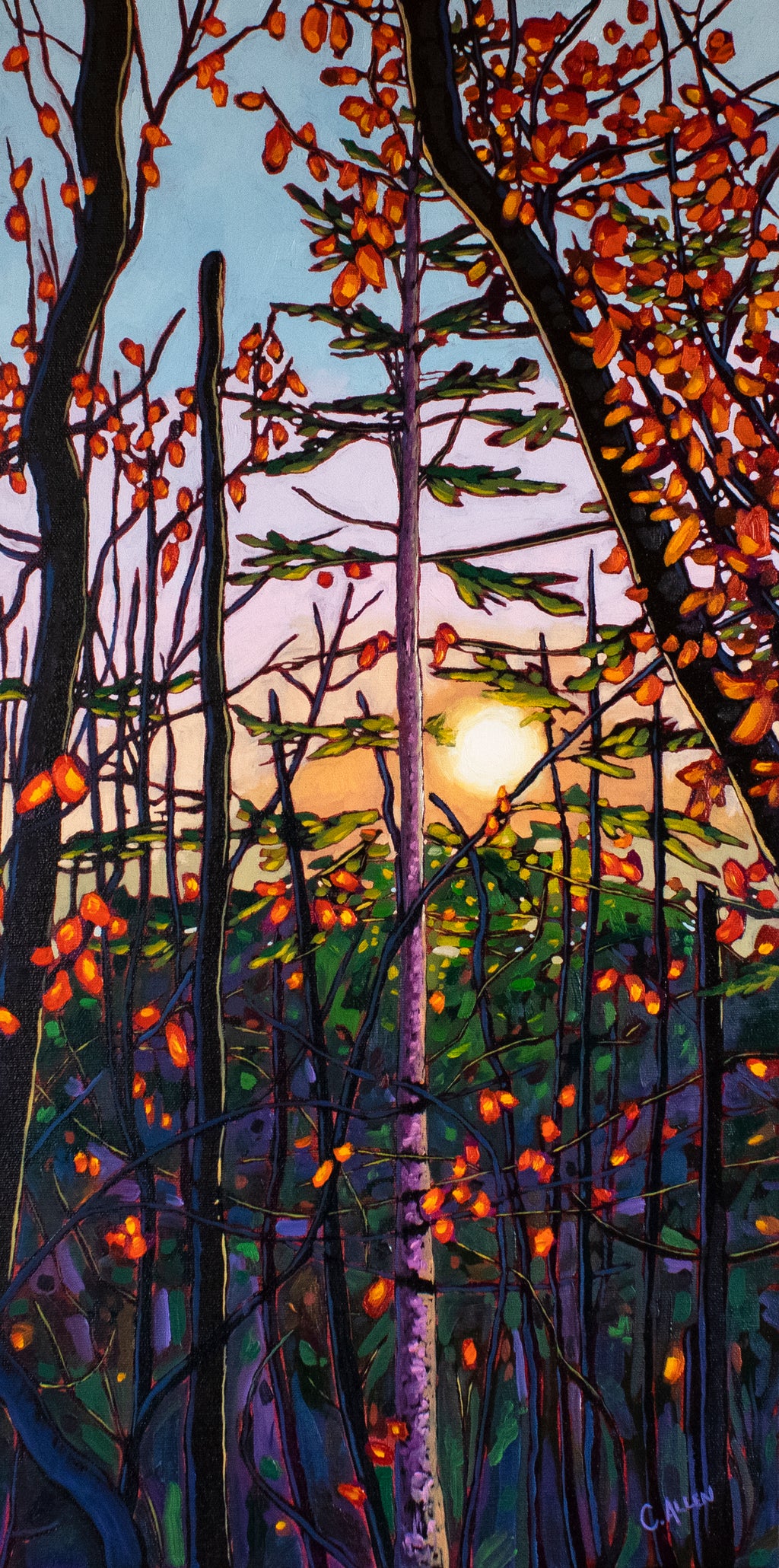 𝐅𝐨𝐫𝐞𝐬𝐭 𝐆𝐥𝐨𝐰 | 𝟏𝟐" 𝐛𝐲 𝟐𝟒"