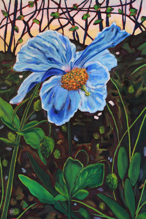 𝐇𝐢𝐦𝐚𝐥𝐚𝐲𝐚𝐧 𝐁𝐥𝐮𝐞 𝐏𝐨𝐩𝐩𝐲 | 𝟏𝟐" 𝐛𝐲 𝟏𝟖"