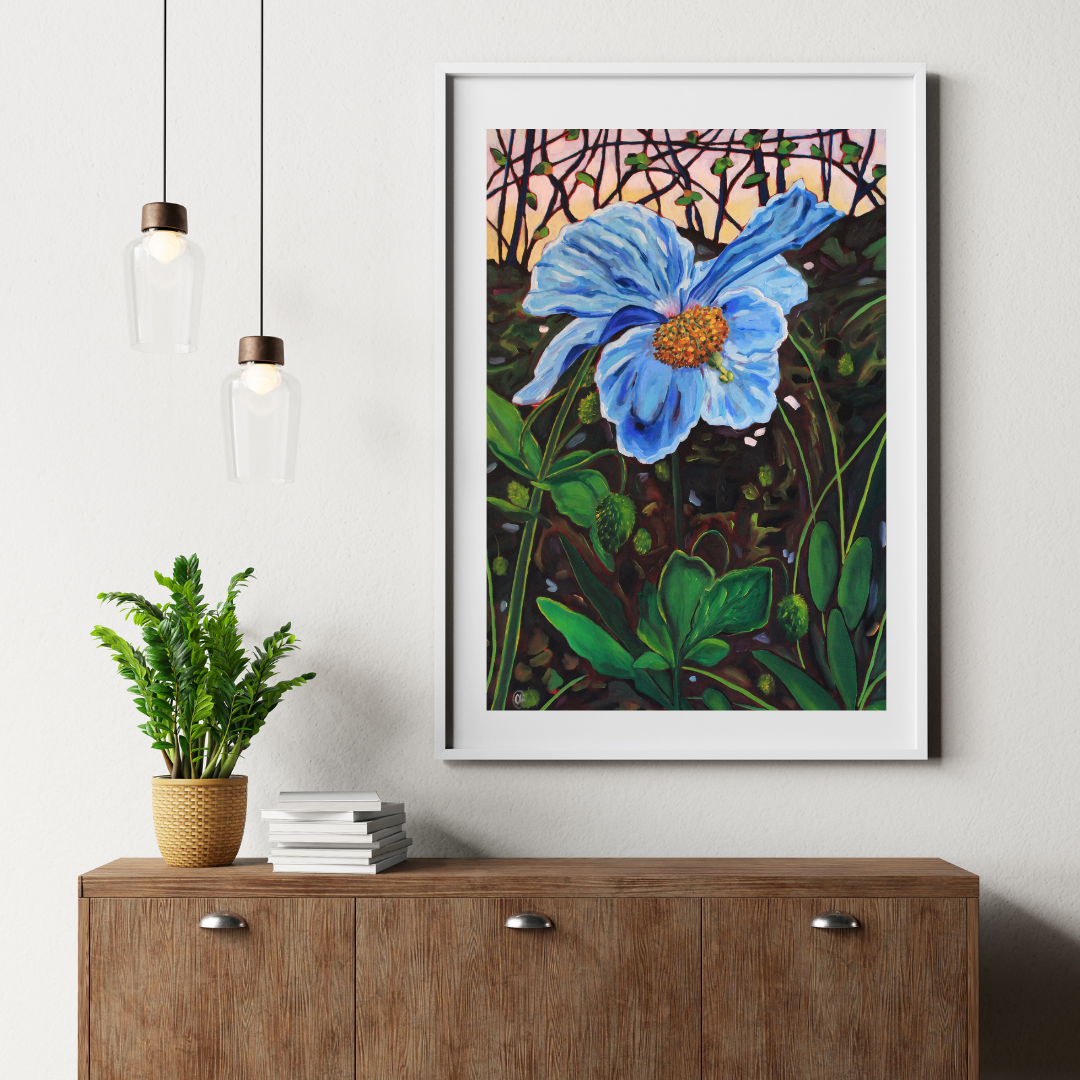 𝐇𝐢𝐦𝐚𝐥𝐚𝐲𝐚𝐧 𝐁𝐥𝐮𝐞 𝐏𝐨𝐩𝐩𝐲 | 𝟏𝟐" 𝐛𝐲 𝟏𝟖"