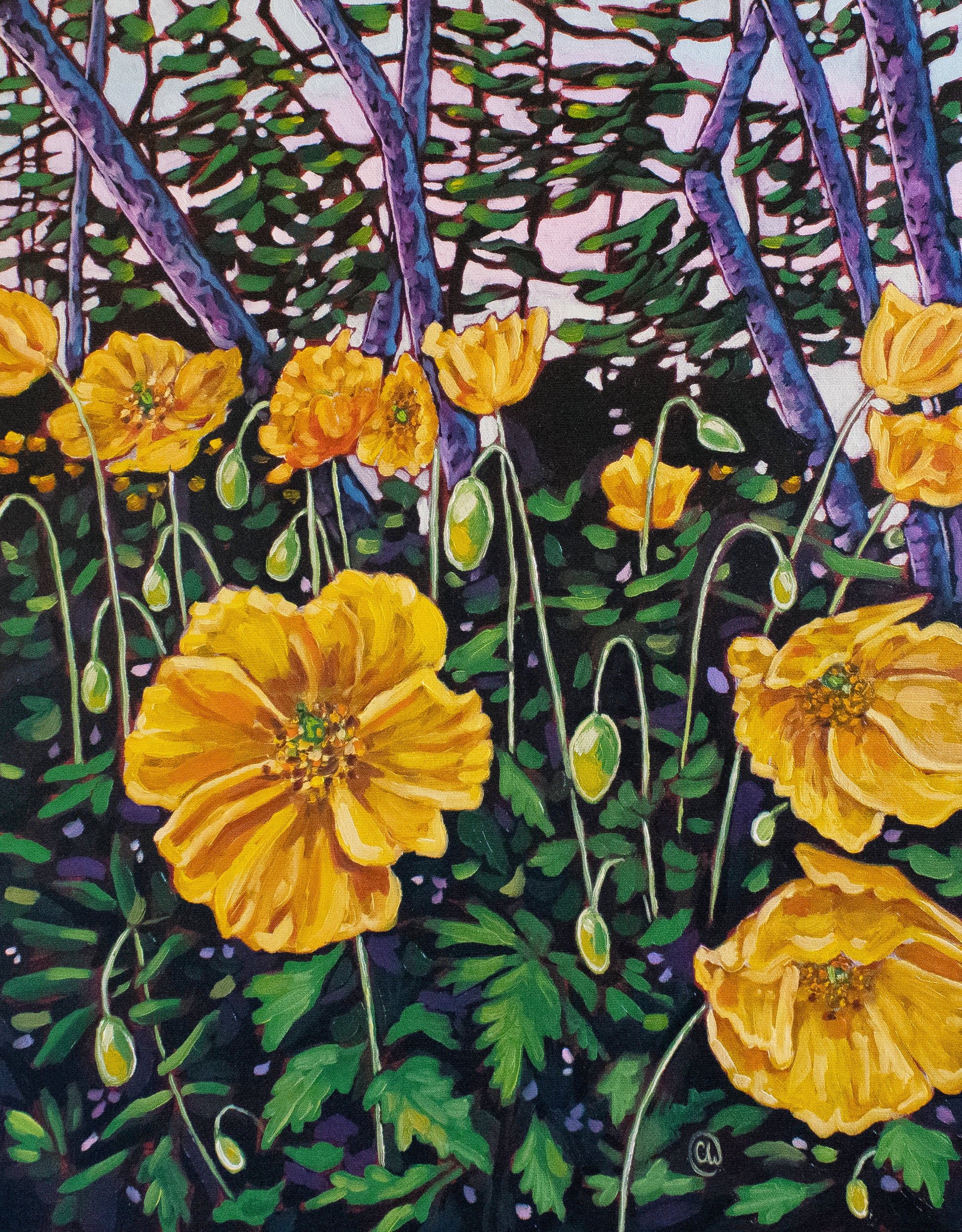 𝐏𝐚𝐩𝐚𝐯𝐞𝐫 𝐆𝐥𝐨𝐰 | 𝟏𝟒" 𝐛𝐲 𝟏𝟖"