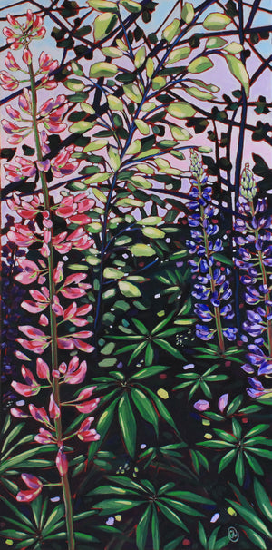 𝐖𝐡𝐞𝐫𝐞 𝐭𝐡𝐞 𝐖𝐢𝐥𝐝 𝐋𝐮𝐩𝐢𝐧𝐬 𝐁𝐥𝐨𝐨𝐦 | 𝟏𝟐" 𝐛𝐲 𝟐𝟒"